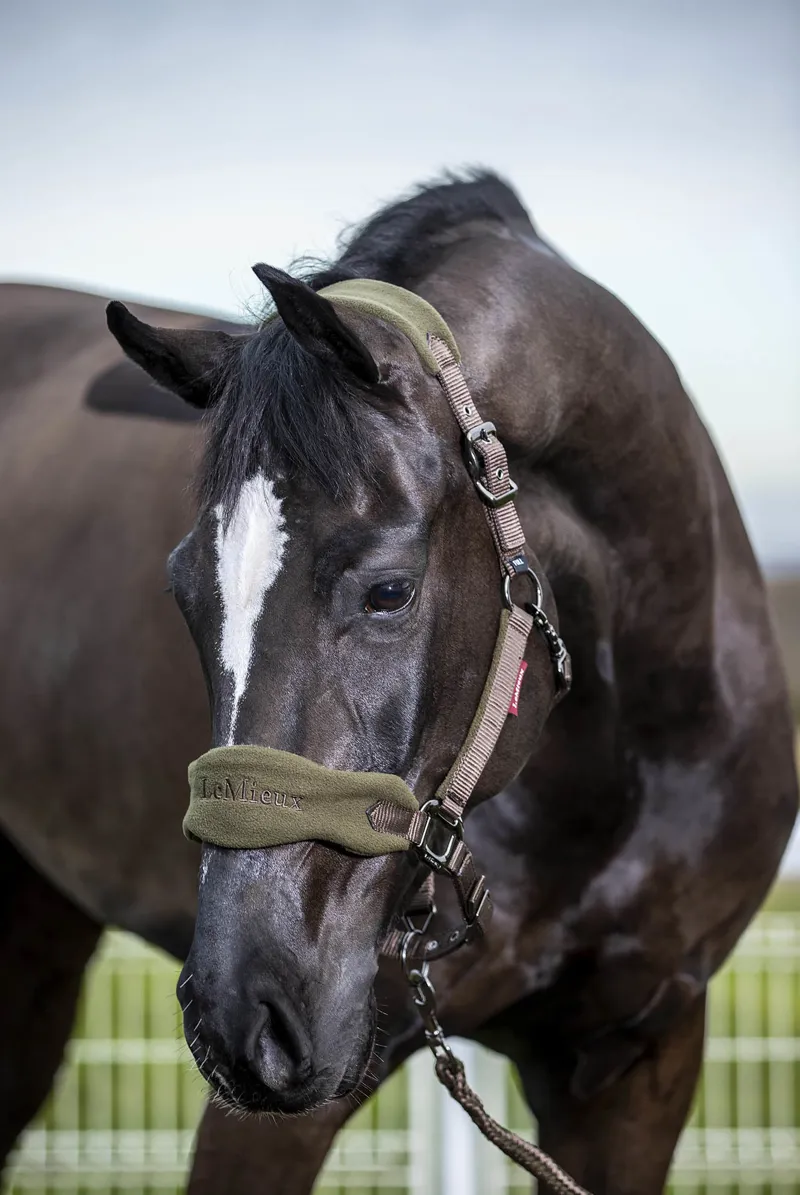 LeMieux Vogue Fleece Headcollar in Oak and Brown-1